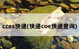 cces快递(快递coe快递查询)