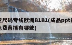 欧亚尺码专线欧洲B1B1(成品ppt的网站免费直播有哪些)