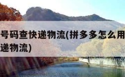 用手机号码查快递物流(拼多多怎么用手机号码查快递物流)