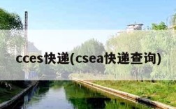 cces快递(csea快递查询)