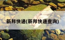 新邦快递(新邦快递查询)