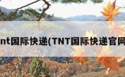 tnt国际快递(TNT国际快递官网)