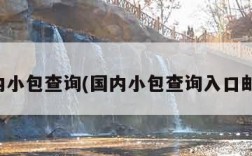 国内小包查询(国内小包查询入口邮政)