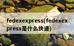 fedexexpress(fedexexpress是什么快递)