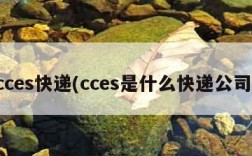 cces快递(cces是什么快递公司)