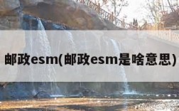 邮政esm(邮政esm是啥意思)