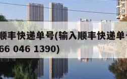 输入顺丰快递单号(输入顺丰快递单号sf108 166 046 1390)